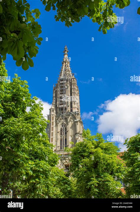 Bern Cathedral. Gothic cathedral in Bern Stock Photo - Alamy