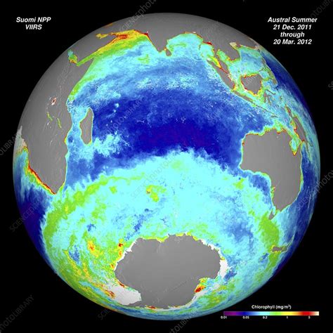 Ocean Chlorophyll Concentrations Stock Image C0233044 Science Photo Library