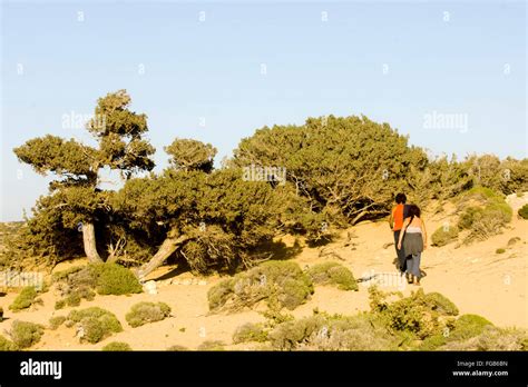 Griechenland Kreta Insel Gavdos Der Strand Von Agio Ioannis Stock