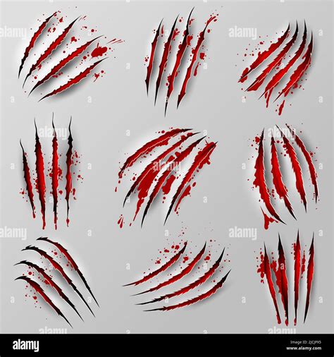 Claw Marks Scratches With Blood Isolated Vector Wild Animal Bloody