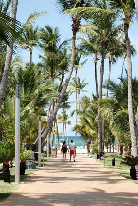 Punta Cana, Dominican Republic | Punta cana resort, Beach pathway ...