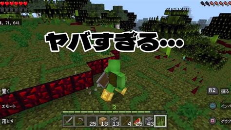 【mod無し】ガチで世界がバグったんだが マインクラフト解説求む Youtube