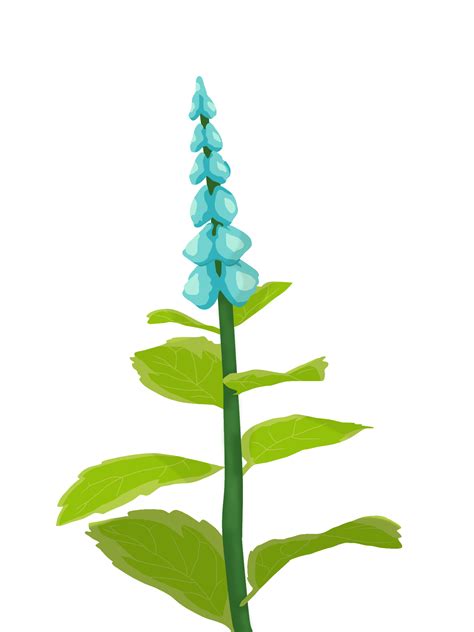 Mint Flower Png File Png All