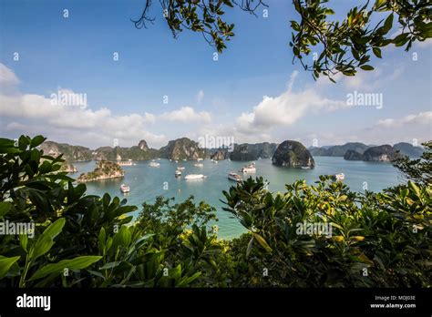 View Of The Limestone Karsts And Isles Of Ha Long Bay As Seen From