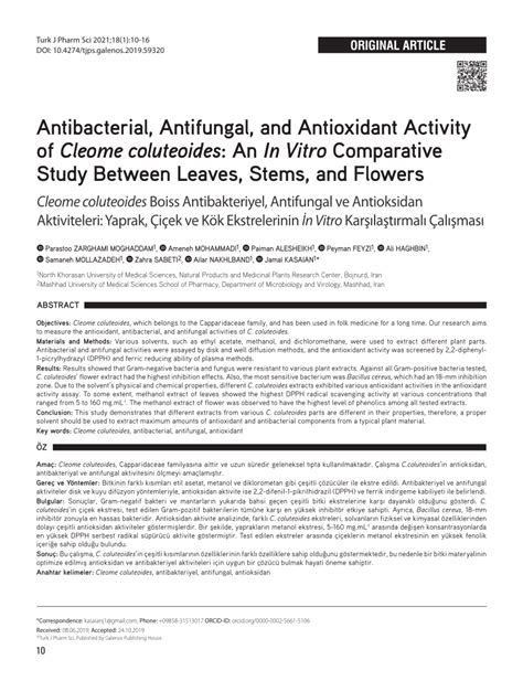 PDF Antibacterial Antifungal And Antioxidant Activity Of Cleome