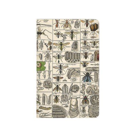 Vintage Entomology Journal | Zazzle | Entomology, Journal, Vintage