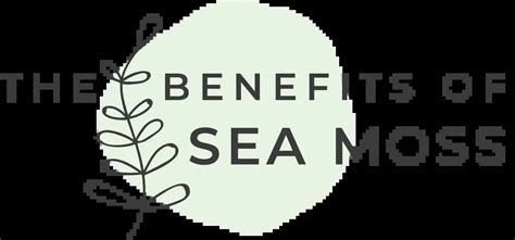 22 Benefits Of Sea Moss Sea Moss Benefits List