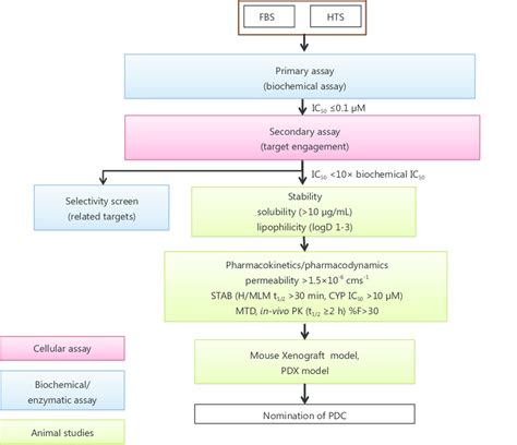 The Screening Cascade Of A Typical Project Pursuing A Small Molecular Download Scientific