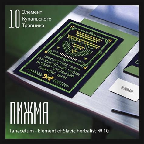 (0985-091) Пижма | Оберег + 10 Элемент Купальского травника | SVENTANA ...