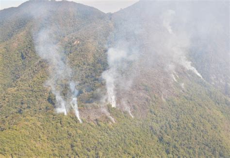 No cesa la preocupación por incendios forestales en la Sierra Nevada