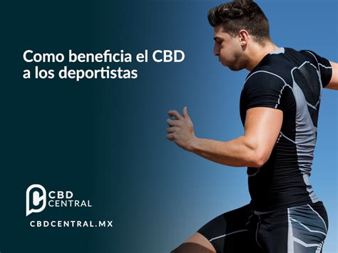 Como Benefecia El Cbd A Los Deportistas Cbd Central Mx