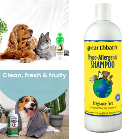 Best Hypoallergenic Dog Shampoo For Dry Itchy Skin