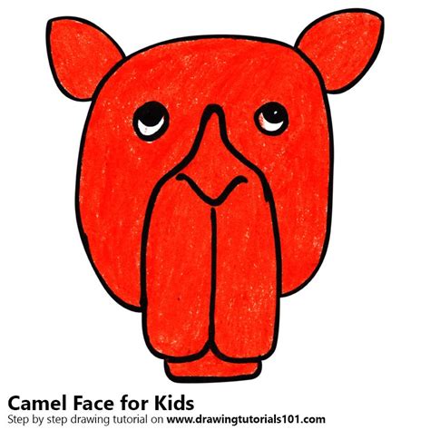 Camel Face Drawing at PaintingValley.com | Explore collection of Camel ...