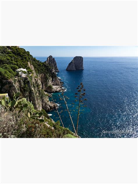 Faraglioni Sea Stacks And Agave Bloom Spikes The Magic Of Capri