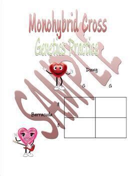 Valentine S Day Genetics Rock Bundle Fun With Punnett Squares Days