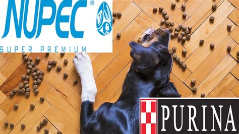 Nupec vs Purina cuáles es mejor marca de croquetas para perro según la