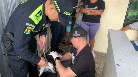 Policía Ambiental tomó al perrito del sujeto que anteriomente lo había