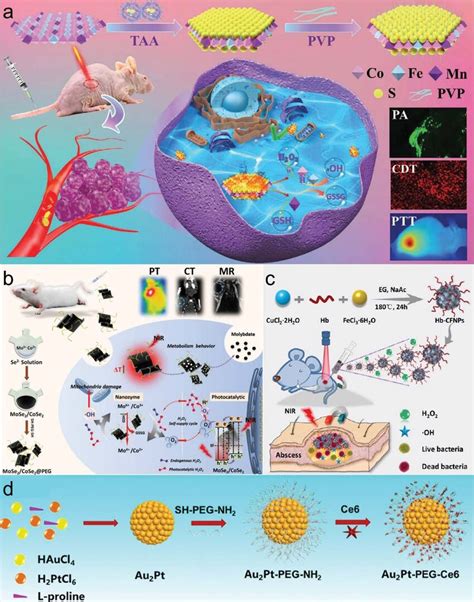 Nanozymes Containing Multiple Metal Elements For Cancer Antibacterial