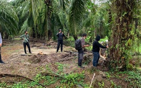 Kejati Sumut Temukan Kawasan Suaka Margasatwa Berubah Jadi Kebun Sawit