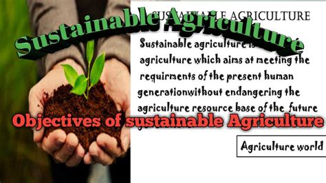 Sustainable Agriculture Definition Objectives Of Sustainable