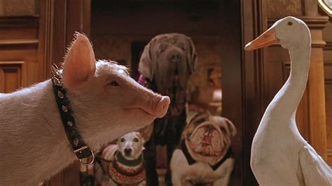 Babe Pig In The City A Movie For The Hopepunk Era Polygon