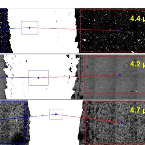 Confocal Laser Scanning Micrographs Of The Coatings On Non Patterned