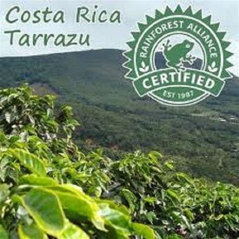 5 Lbs Costa Rica SHB Tarrazu La Pastora Green Un Roasted Coffee Beans