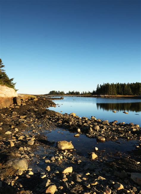 Spring Archives - More Than Just Parks | National Parks Guides