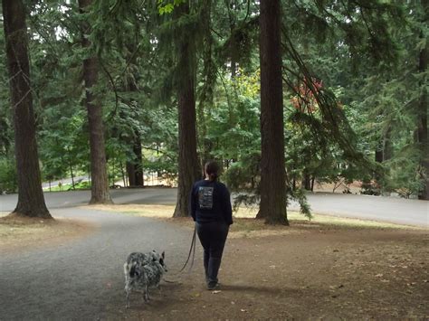 My Eclectic Thoughts Mt Tabor Park In Portland