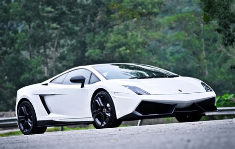 Wallpaper white, front view, Lamborghini, Gallardo, Lamborghini ...