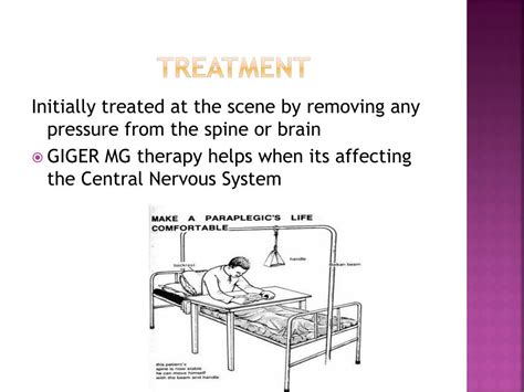 PPT - Paraplegia PowerPoint Presentation, free download - ID:1945720