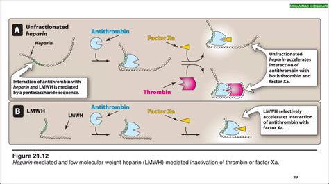 anticoagulants and antiplatelet agents | PDF