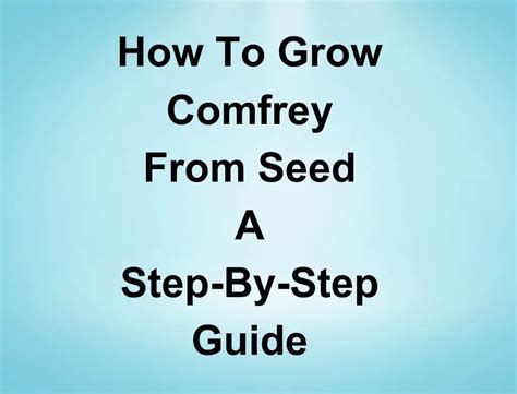 How To Grow Comfrey From Seed A Step By Step Guide