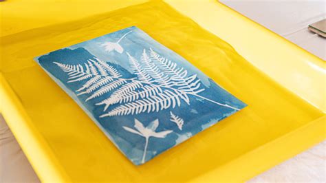 Wecandoo Initiez Vous Au Cyanotype En Groupe