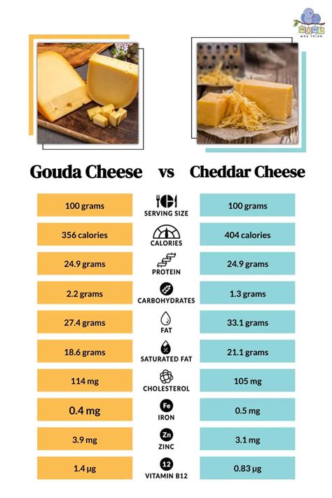 Gouda Vs Cheddar Cheese What S The Taste Difference Nutritional