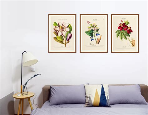 Botanical Set Of 3 Prints Botanical Print Set Of 3 Modern Etsy