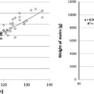 PDF Determination Of Sex And Gonad Maturity In Sturgeon Acipenser Gueldenstaedtii Using