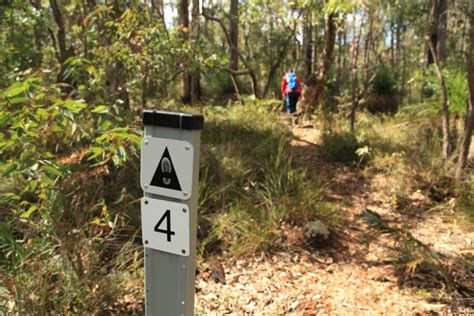 Mundlimup Tmber Trails Jarrahdale Trails Wa