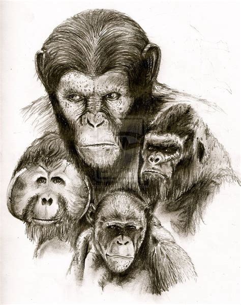 Rise Of The Planet Of The Apes By Jpizzle6298 On Deviantart Planet Of