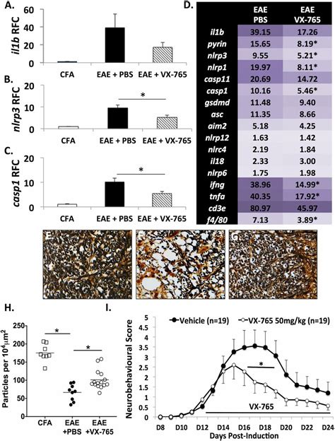 Caspase Inhibition Prevents Glial Inflammasome Activation And