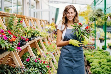 Gu A Detallada Sobre La Producci N De Flores En Argentina