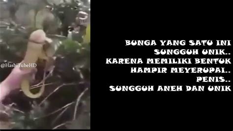 Penemuan Terbaru Dan Sudah Terbukti Youtube