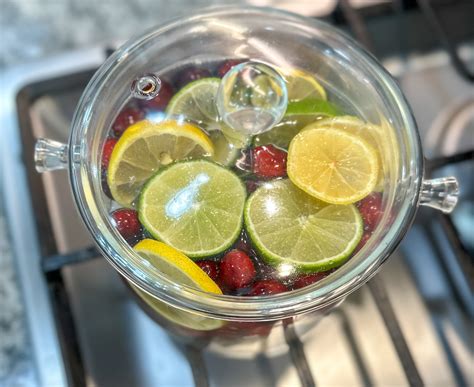 Rosemary Cranberry Simmer Pot | DA' STYLISH FOODIE