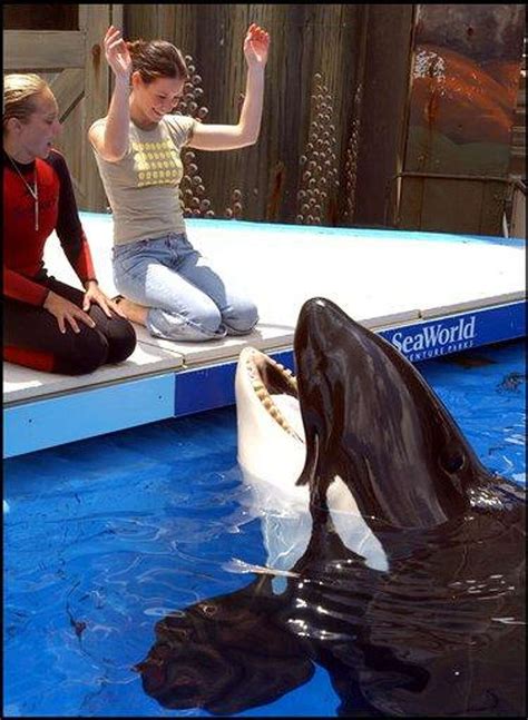 WEB FIRST: Whale kills SeaWorld trainer as guests watch