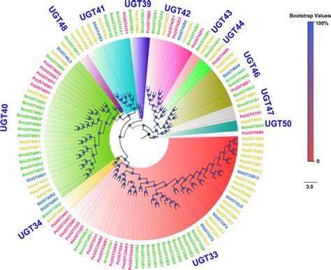 Phylogenetic Tree Of Typical Insect Ugt Genes Pxugts Are Highlighted