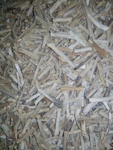 Shatavari, Packaging Type: Bag, 50 g at Rs 150/kg in Pune | ID: 27619576330