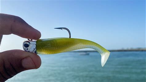 Catching Big Snook On The Nlbn Paddle Tail Live Bait Off The Jetty