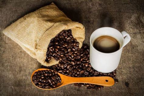canadian coffee brands list  coffee brands  canada