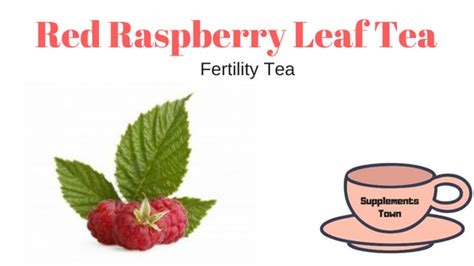 13 Powerful Fertility Tea Get Rid Of Your Female Infertility Today