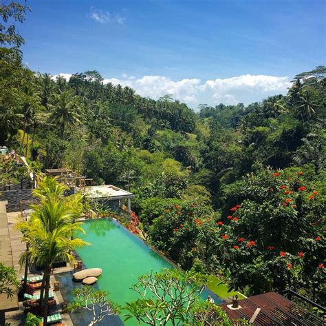 Stunning Private Pool Villas In Ubud Bali With Spectacular Forest